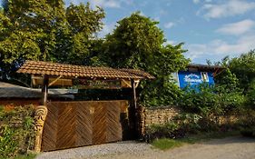 Itchimbia Garden Ayampe