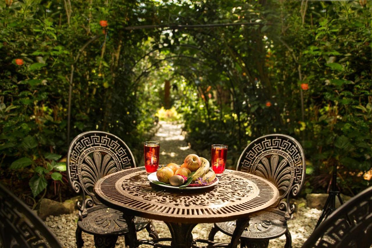 Villa Itchimbia Garden Ayampe Exterior foto